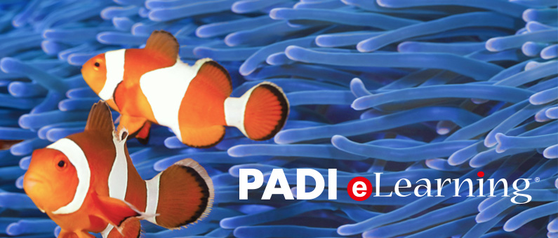 Padi_eLearning_01